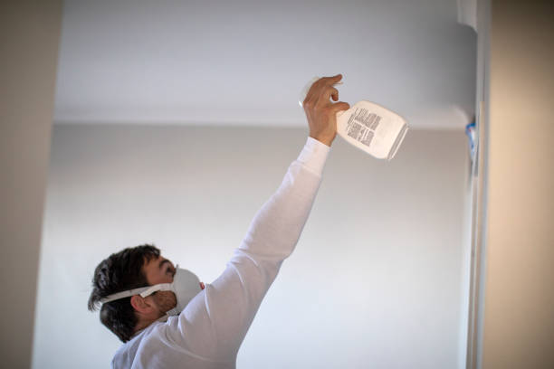 Best Toxic Mold Removal  in Sahuarita, AZ