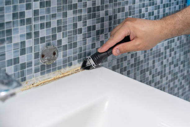 Certified Mold Removal in Sahuarita, AZ